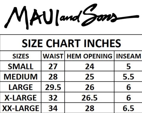 MAUI AND SONS SWIMSHORTS 2