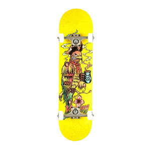 BOILING SKATEBOARDS PIRATE PARROT